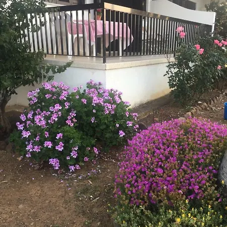 With Stunning Sea View *