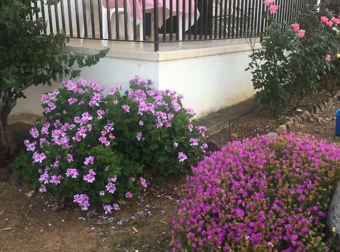 With Stunning Sea View *